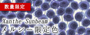 Xanthe Sunbeam メルシー限定色