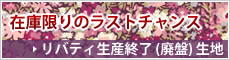 ���o�e�B���Y�I�����n�i�p�Ր��n�j
