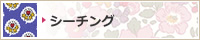 �V�[�`���O