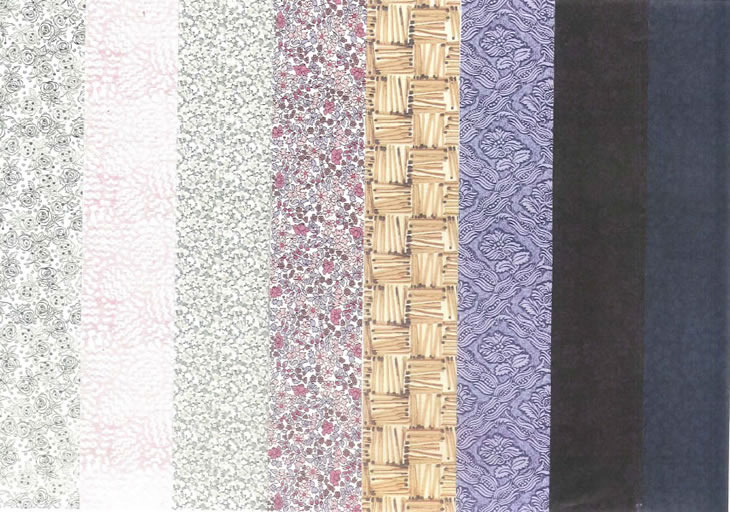 TBE|viSAVILLE POPLINj