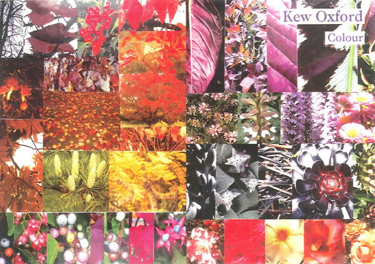 L[EIbNXtH[h Kew Oxford