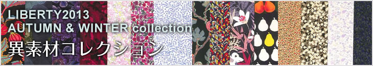 LIBERTY 2013AW ّfރRNV