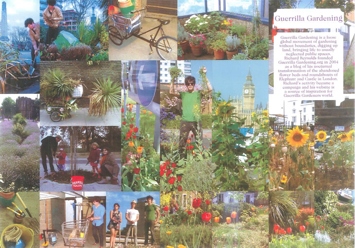 QEK[fjO GUERRILLA GARDENING