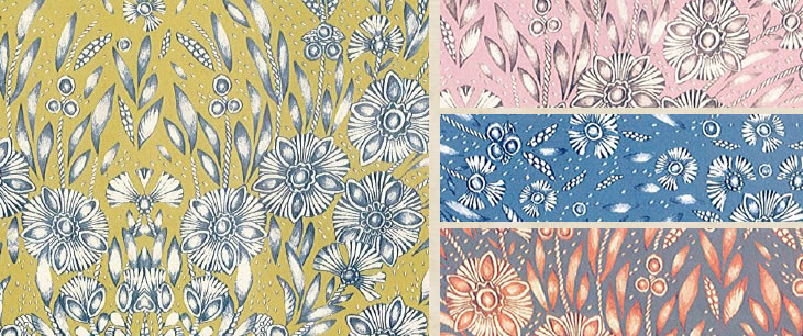 CfB[EUfB[@Lady Zadie