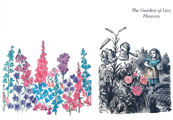 ԉ@The Garden of Live Flowers