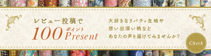 レビュー投稿で100ポイントプレゼント