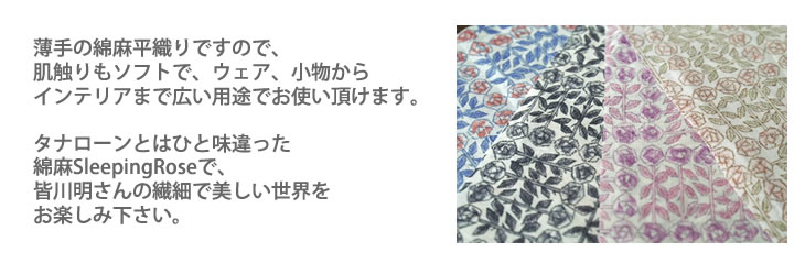 ^i[Ƃ͂ЂƖȖSleepingRose