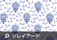 �\���C�A�[�h������