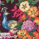 LIBERTY FABRICS oeBvg C^A^i[n<br>Camberwell Peacock(Lo[EFs[RbN)DC31442-Dyp[vzyTHE ARCHIVIST'S EDIT 2021AWz