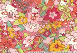 n[LeB~oeBA[gt@ubN`Season3`Kirstie Hello KittyDC27675-12B