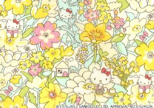 n[LeB~oeBA[gt@ubN`Season3`Kirstie Hello KittyDC27675-12C