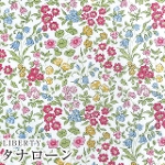 LIBERTYリバティプリント　国産タナローン生地<br>＜Lilibet＞(リリベット)【ピンク系】3632218-22A《2022AW THE HOUSE OF LIBERTY》
