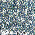 LIBERTYリバティプリント ピカデリーポプリン生地 インポート(輸入)Piccadilly Poplin<br>＜Capel Pepper＞(カペルペッパー)【マルチカラー】1222206-C《2022AW THE HOUSE OF LIBERTY》