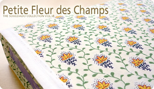 SOULEIADO \CA[hV[`OnveBEt[EfEV@AC{[n