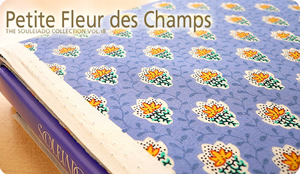 SOULEIADO \CA[hV[`OnveBEt[EfEV@u[n