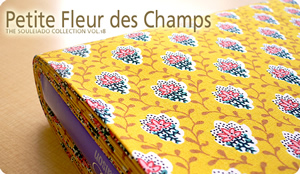 SOULEIADO \CA[hV[`OnveBEt[EfEV@CG[n