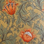 moda fabrics(_Et@ubNX)William Morris EBAX V[`O~l[gn<br>Anemone(All)FENNEL GREEN(tFlO[)LAMI-8217-20