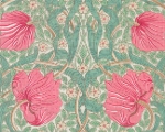 moda fabrics(_Et@ubNX)William Morris EBAX V[`On<br>Pimpernel(spl)SAGE ROSE Z[W[Y 8365-63