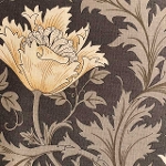 moda fabrics(_Et@ubNX)William Morris EBAX V[`On<br>Anemone(All)CHARCOAL `R[ 8380-16