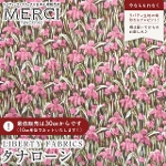 LIBERTY FABRICS oeBvg C^A^i[n<br>At The Opera(AbgEWEIy)ysNzs2025AW From the Studiot3635243-25BU