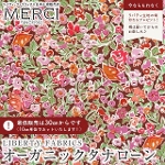 LIBERTY FABRICS oeBvg C^AI[KjbN^i[n<br>Floral Soprano(t[E\vm)ysN~uEnz157J930-25CU