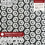 LIBERTY FABRICS oeBvg C^A^i[n<br>Cupola Daisy(L[|EfCW[)yubNn~zCgzs2025AW Decades in Bloomt363J75904-25BU