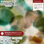 LIBERTY FABRICS oeBvg C^A^i[n<br>Jessica Alexandra(WFVJEANTh)yO[zs2026SS Floral Rebelliont36361033-26CU