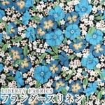 LIBERTY FABRICS ���o�e�B�v�����g�@���Y�t�����_�[�X���l�����n<br>��Gabriella Gisou��(�K�u���G���E�W�X�[)�y�u���[�z36361006-J26B