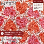 LIBERTY FABRICS ���o�e�B�v�����g �C�^���A���^�i���[�����n<br>��Chamomile Hearts��(�J���~�[���E�n�[�c)�y���b�h�~�s���N�z�s2026SS Summer Melody�t363J7514-26BU