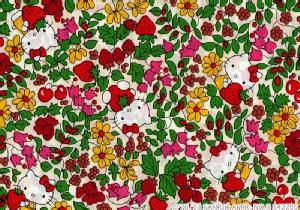 n[LeB~oeBA[gt@ubN`XgV[Y(xXgZNV)`Strawberry Field(Xgx[tB[h)DC27771-J13A