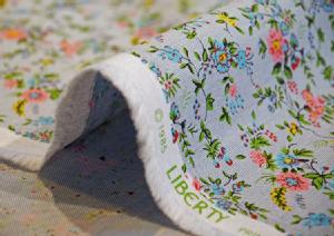 LIBERTYoeBvgEYRbgVu[nFloribunda(to_)3637073-J14A