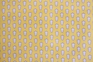 SOULEIADO \CA[hV[`OnEveBbg[V@CG[nSLF-14P