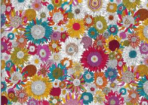 LIBERTYoeBvgEI[Krbc11znSmall Susanna(X[EXUi)3638158-B