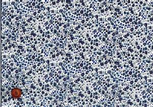 LIBERTYoeBvgE~l[g(rj[R[eBOn)Phoebe(tB[r[)MATLAMI3632090RE