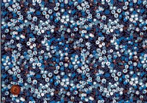 リバティ ラミネート 中身が見えるペンケース・ウィルトシャーPK リバティ ラミネート 中身が見えるペンケース・ウィルトシャーPK