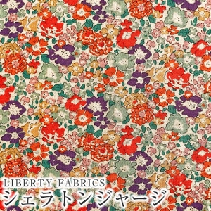 LIBERTYoeBvgEY^iW[Wn(2016Ntĕ)60/2VMichelle(~bVF)3636017AK