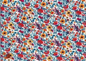 LIBERTYoeBvgEY^iW[Wn(2016Ntĕ)60/2VRachel(C`F)3636003DK