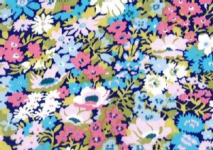 LIBERTYoeBvgEY^iW[Wn(2016Ntĕ)60/2VThorpe(\[v)3639005LAK