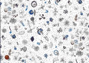 LIBERTYoeBvgEI[Krbc11zYnMemories of Rain([YIuC)3630277-10AC