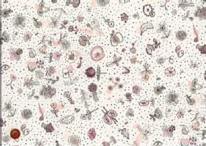 LIBERTYoeBvgEI[Krbc11zYnMemories of Rain([YIuC)3630277-10BC