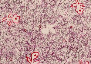 LIBERTYoeBvgE~l[g(rj[R[eBOn)Unforgettable Moment(AtH[Qb^u[g)MATLAMI3630276-10A