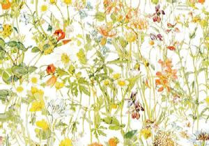 LIBERTYoeBvgEY~l[g(rj[R[eBOn)Wild Flowers(ChEt[Y)MATLAMI3634251-J15B