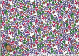 n[LeB~oeBA[gt@ubN`Season2`Strawberry FieldDC27771-11C