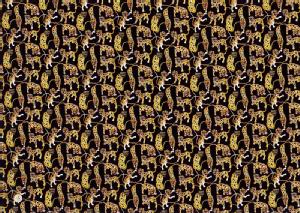 LIBERTY���o�e�B�v�����g�E���Y�^�i���[�����n��Heads and Tails��(�w�b�Y�E�A���h�E�e�[���Y)3636287-16C