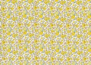 LIBERTYoeBvgEY^i[nFelicite(tFVe)3637113S-J16B