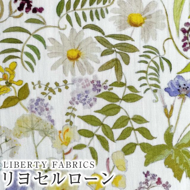 ミッチェル　リバティ5’6 Michell Liberty 1997 Limited Edition 5'6''UL - いわなたろう