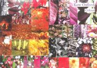 L[EIbNXtH[h@Kew Oxford