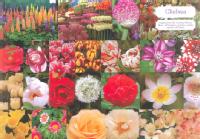 `FV[Et[EV[@CHELSEA FLOWER SHOW