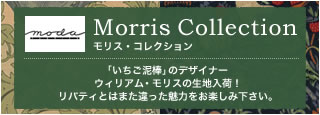 William Morris(moda fabric)
