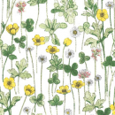 <Josephine’s Garden>3633181-A